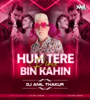   Hum Tere Bin Kahin Reh Nahin Paate Remix Dj Anil Thakur 