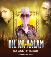  Dil Ka Aalam (Remix) Dj Anil Thakur