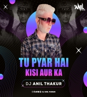   Tu Pyar Hai Kisi Aur Ka (Remix) Dj Anil Thakur