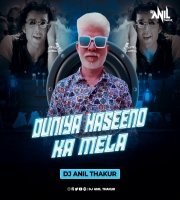   Duniya Haseenon Ka Mela (Remix) Dj Anil Thakur