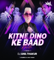   Kitne Dino Ke Baad Mile Ho (Remix) Dj Anil Thakur