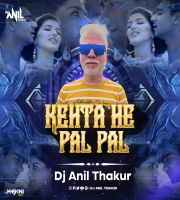    Kehta Hai Pal Pal Tumse (Remix) Dj Anil Thakur