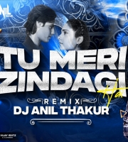   Tu Meri Zindagi Hai(Remix) Dj Anil Thakur