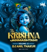 Aarti Kunj Bihari Ki (Remix) Dj Anil Thakur