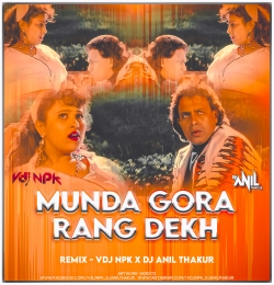Munda Gora Rang Dekh Ke Lyrics ( Remix ) Dj Anil Thakur & Vdj Npk 