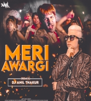 Meri Aawargi ( Remix ) Dj Anil Thakur 